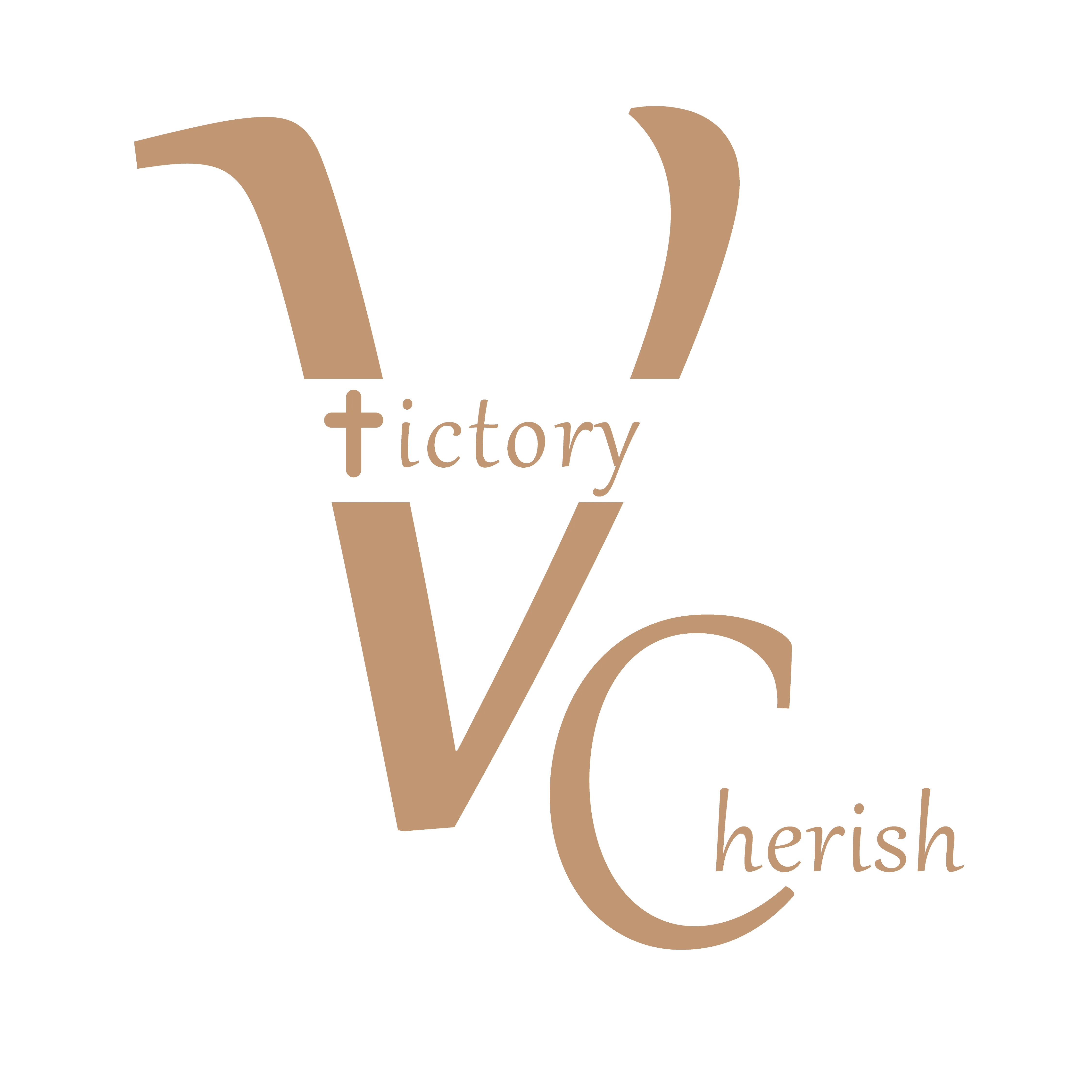 VC Market